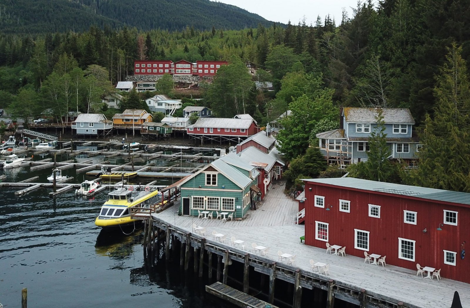 Telegraph Cove Campground — photo 4